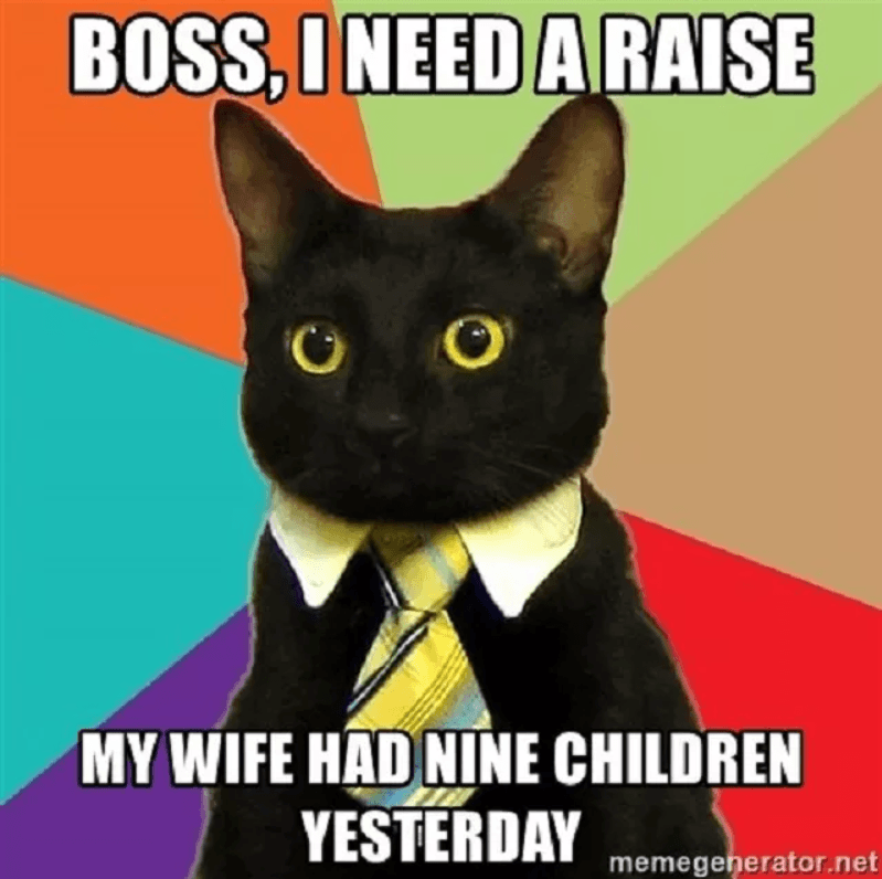 30+ Cat Memes Will Make Your Day Better - May 2020 Updated