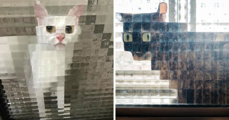21 Funny Photos Of “Low-Resolution” Cats Behind Pixelated Glass Doors