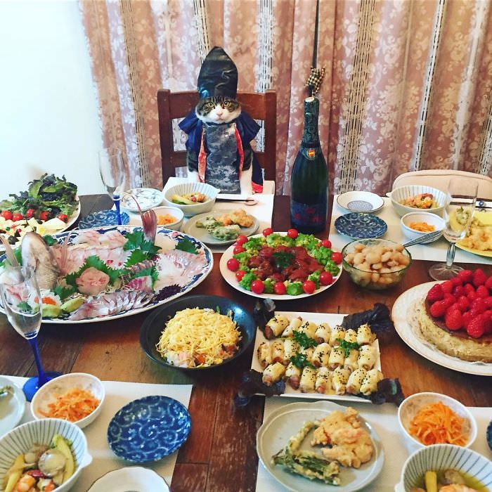 Cosplaying Cat Chef Dines With His Mom Every Night In Different Outfit