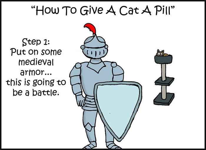 Hilarious 10-Step Guide Goes To Extreme Lengths Explaining How To Give a Cat a Pill